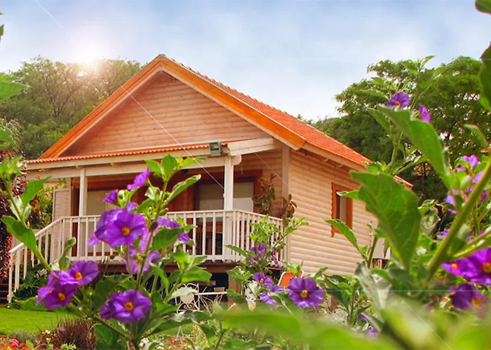 The Beautiful Cabins