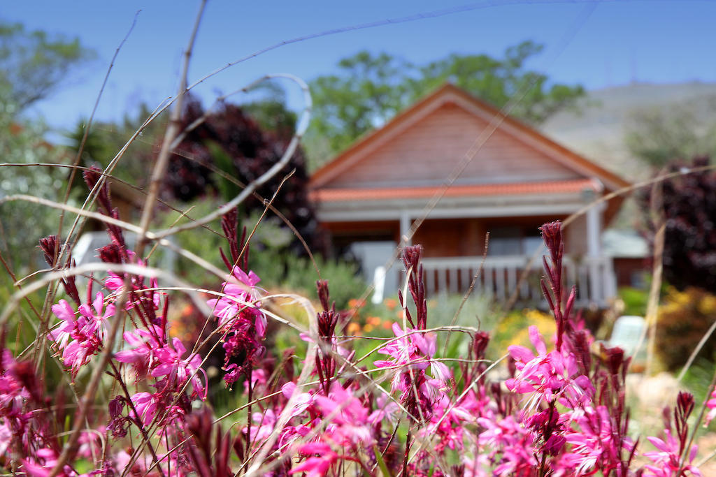 Chalet The Beautiful