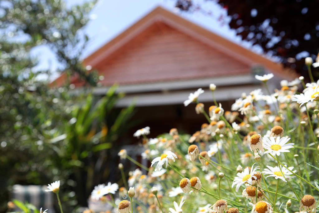 Chalet The Beautiful Rosch Pina
